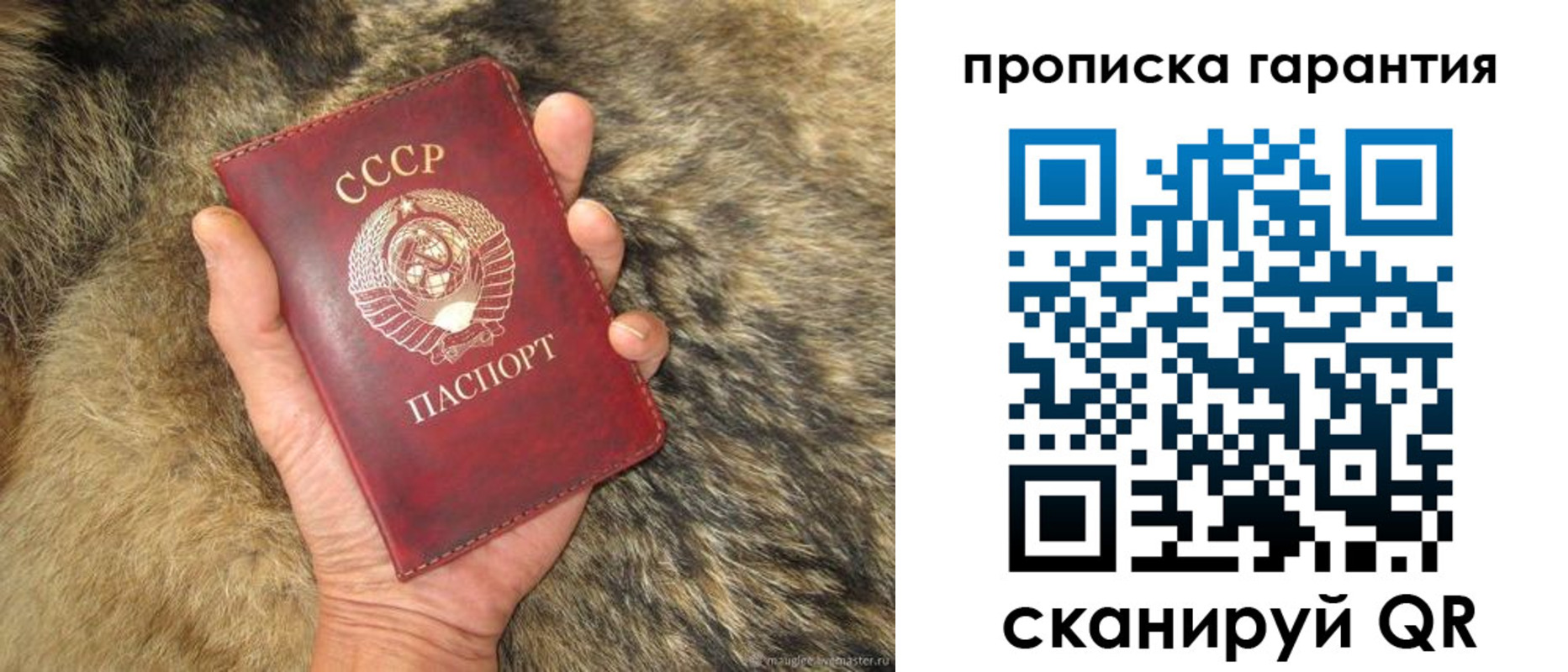 временная регистрация гарантия в Благодарном
